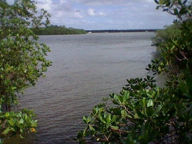 Matanzas Pass Preserve-迈尔斯堡海滩必去景点