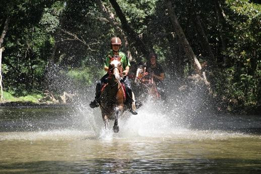 Mount-N-Ride Adventures-凯恩斯必去景点