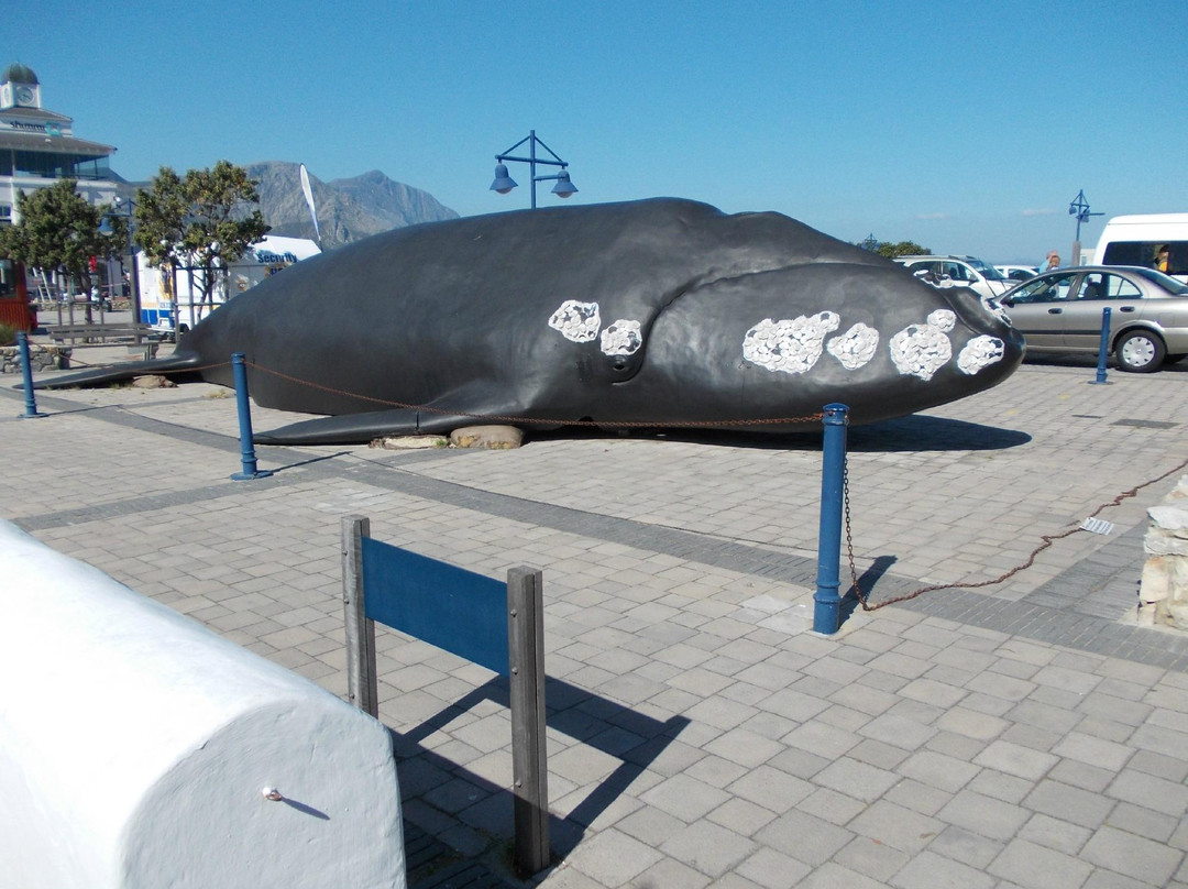 The Whale House Museum-赫曼努斯必去景点