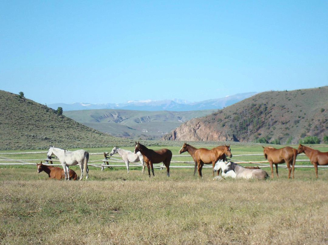 Bitterroot Ranch景点图片