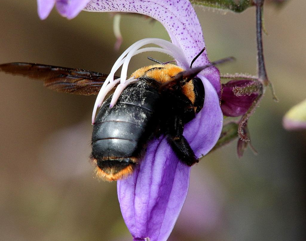 哈克城酒店住宿-费恩波斯山脊乡村之家酒店