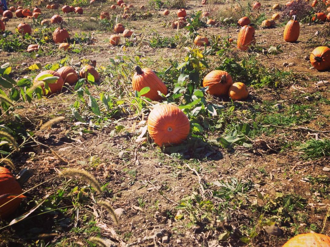 Fishkill Farms-Hopewell Junction必去景点