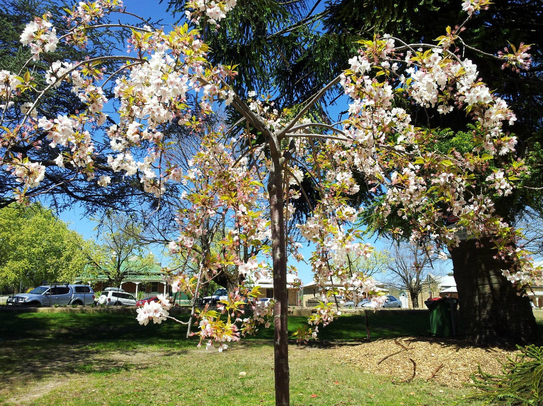 Town Hall Gardens-比奇沃思必去景点