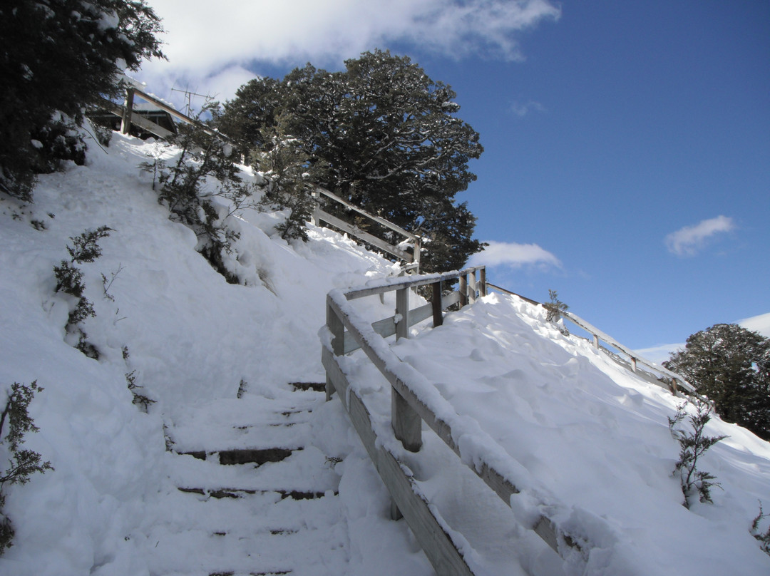 Craigieburn Valley Ski Area景点图片