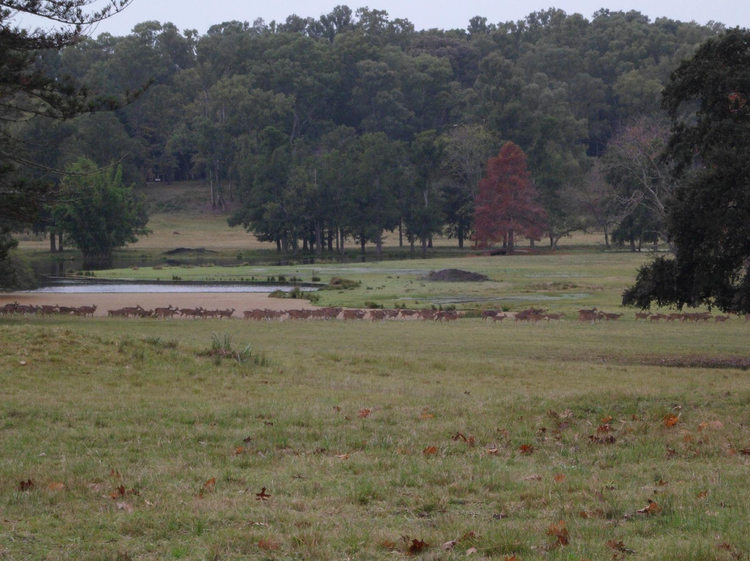 Parque Anchorena-科洛尼亚·德尔萨克拉门托城必去景点