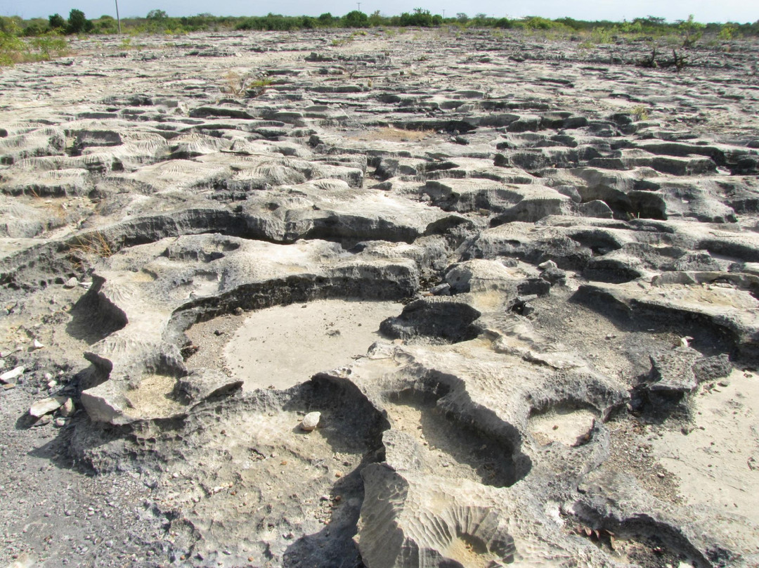 Lajedo de Soledade Archeology Museum景点图片