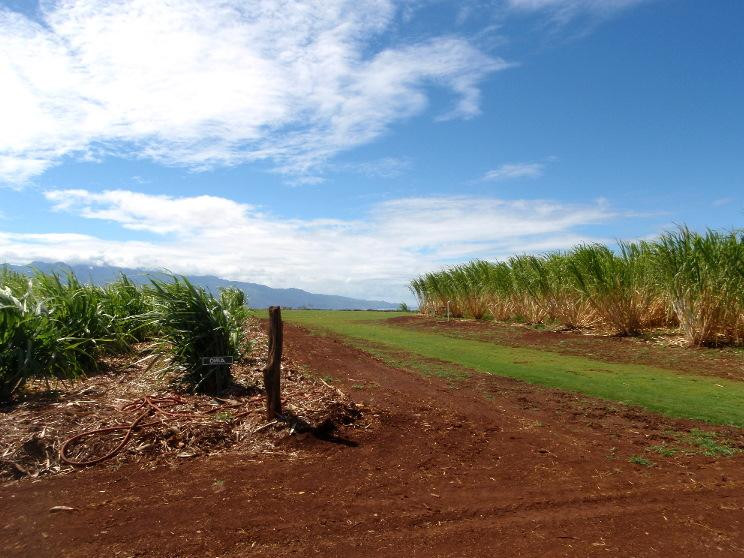 Ocean Vodka Organic Farm and Distillery-库拉必去景点