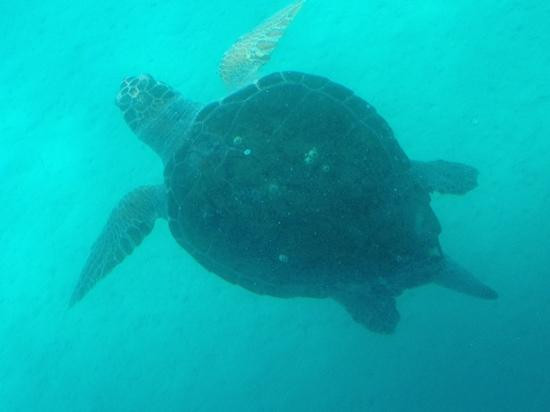 Cruisemar-Agios Sostis必去景点