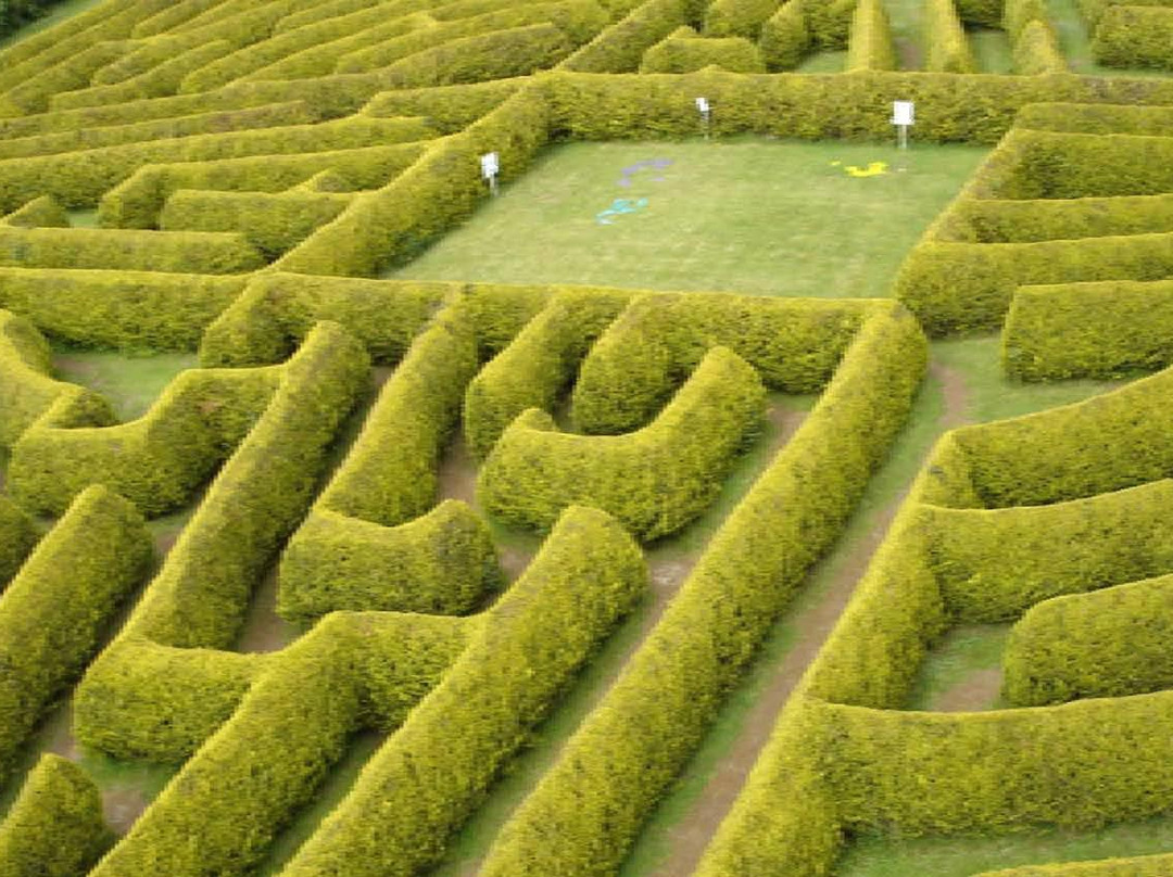 The Kildare Maze-Prosperous必去景点