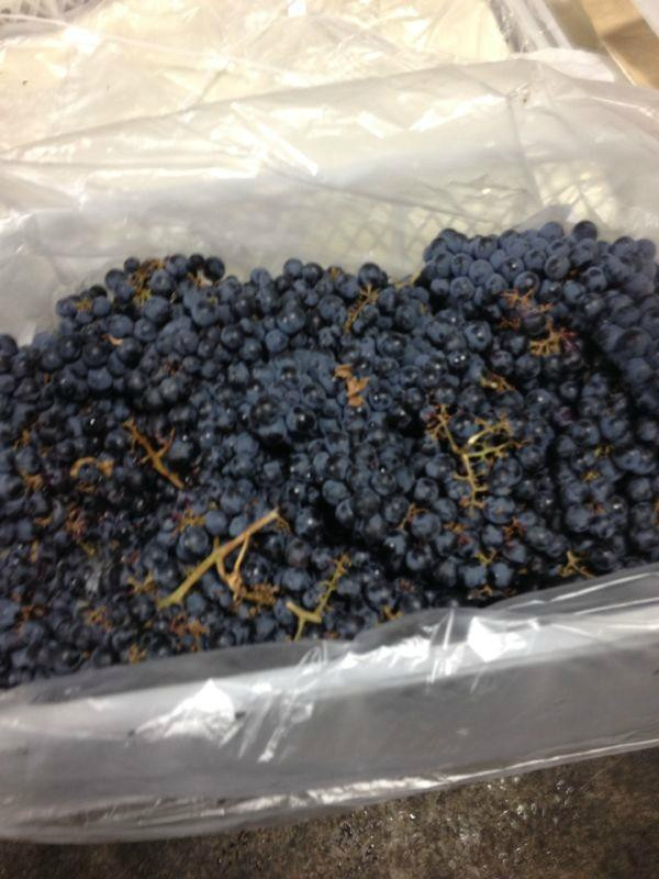 The Winemakers Cellar景点图片