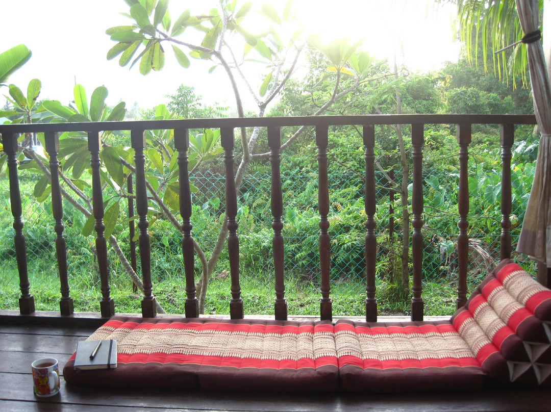Yoga Now Langkawi景点图片