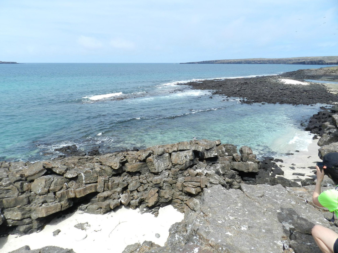 Darwin Trail-Genovesa必去景点