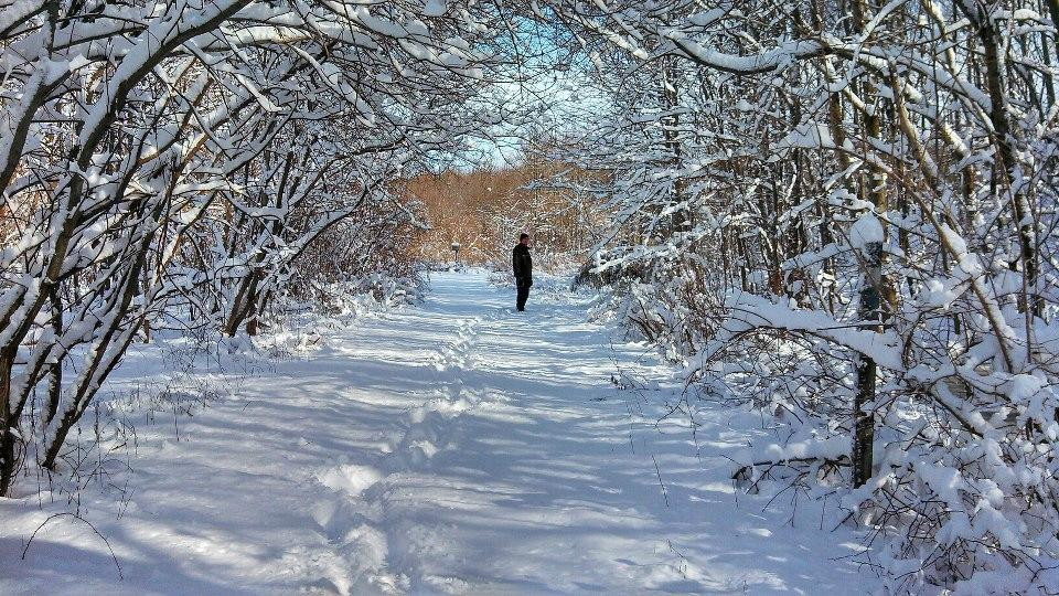 Plainsboro Preserve-Cranbury必去景点