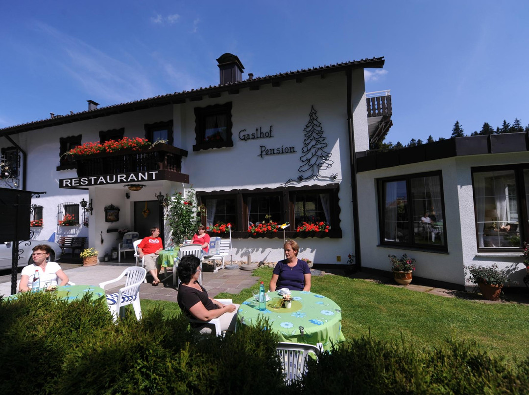 Schonwald餐馆和美食-Schwarzwaldtanne