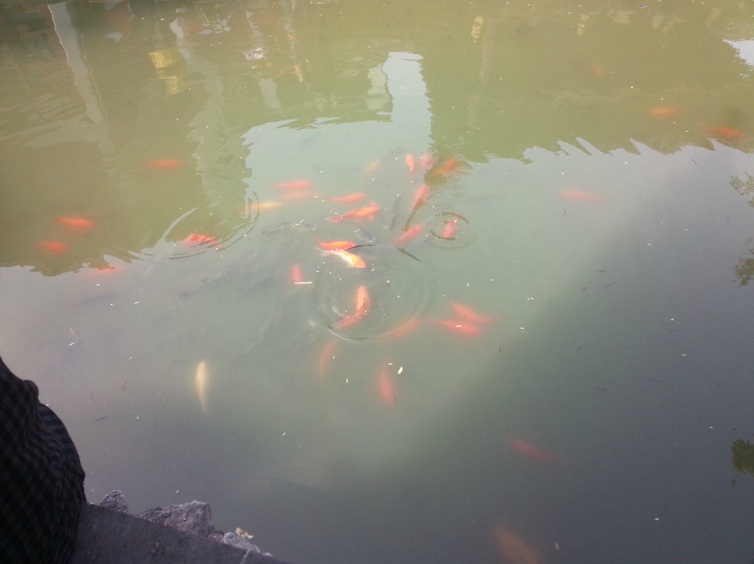 狮子林-苏州市必去景点