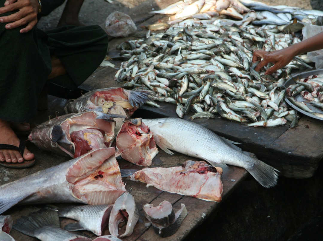 Fish Market-实兑必去景点