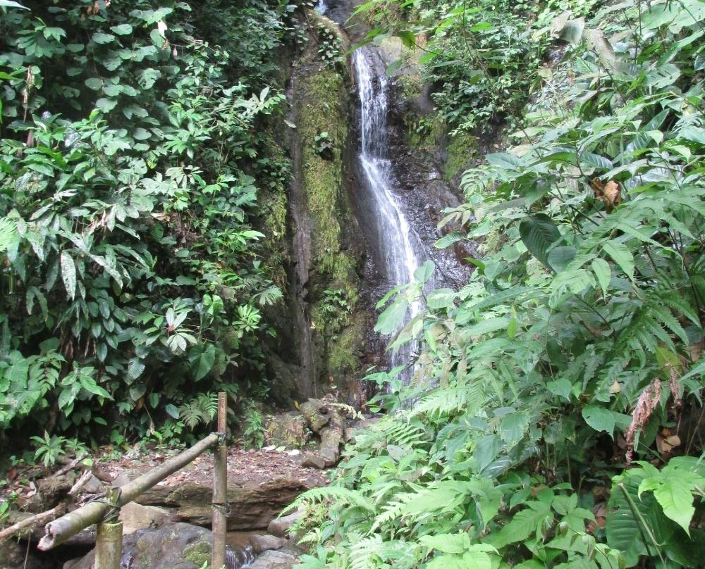 Golfito National Wildlife Refuge-果菲托必去景点
