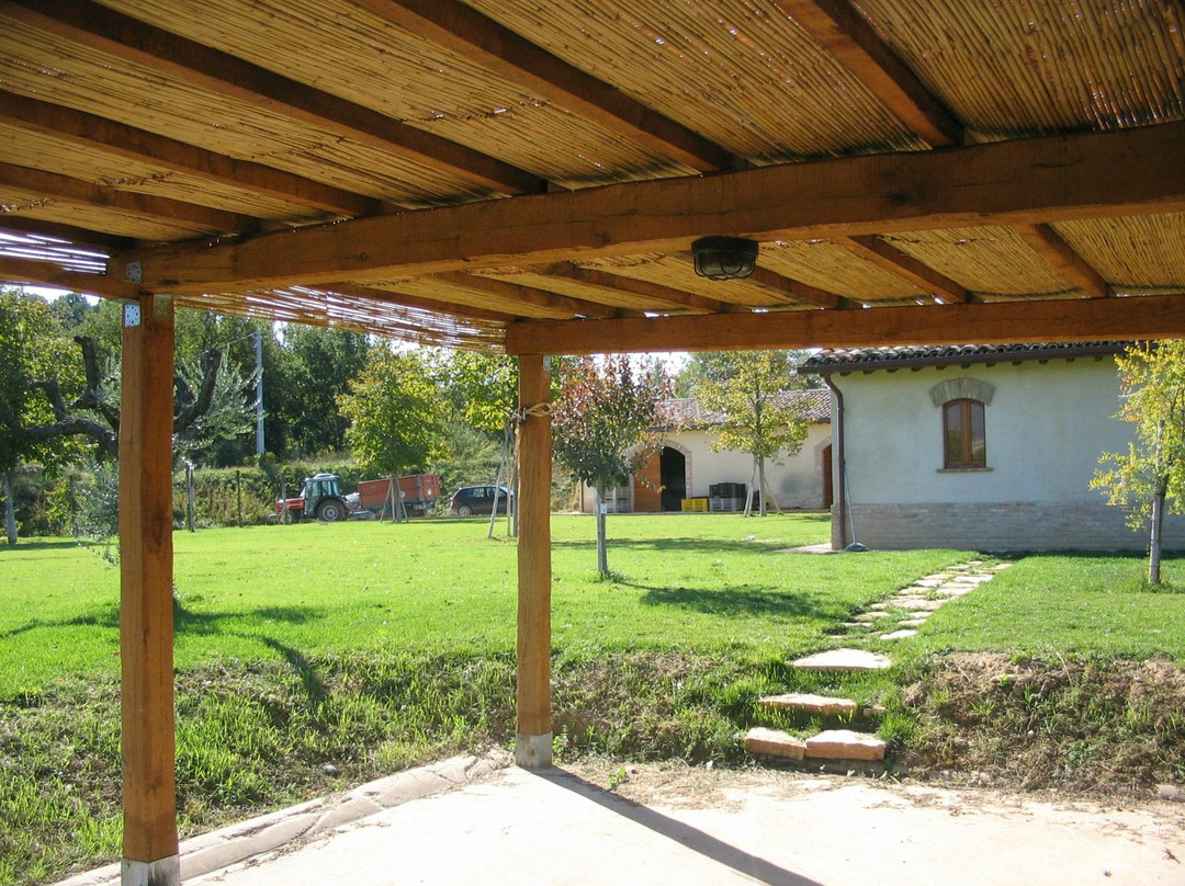 Raìna Winery and Vineyard-Montefalco必去景点