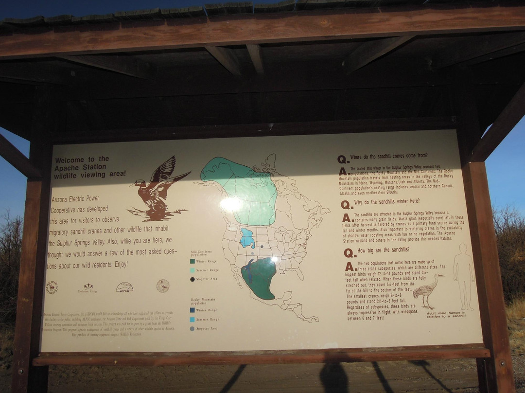 Willcox Playa Wildlife Area-Willcox必去景点