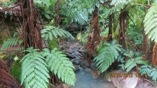 Centro de Interpretação Ambiental Caldeira Velha-大里贝拉必去景点