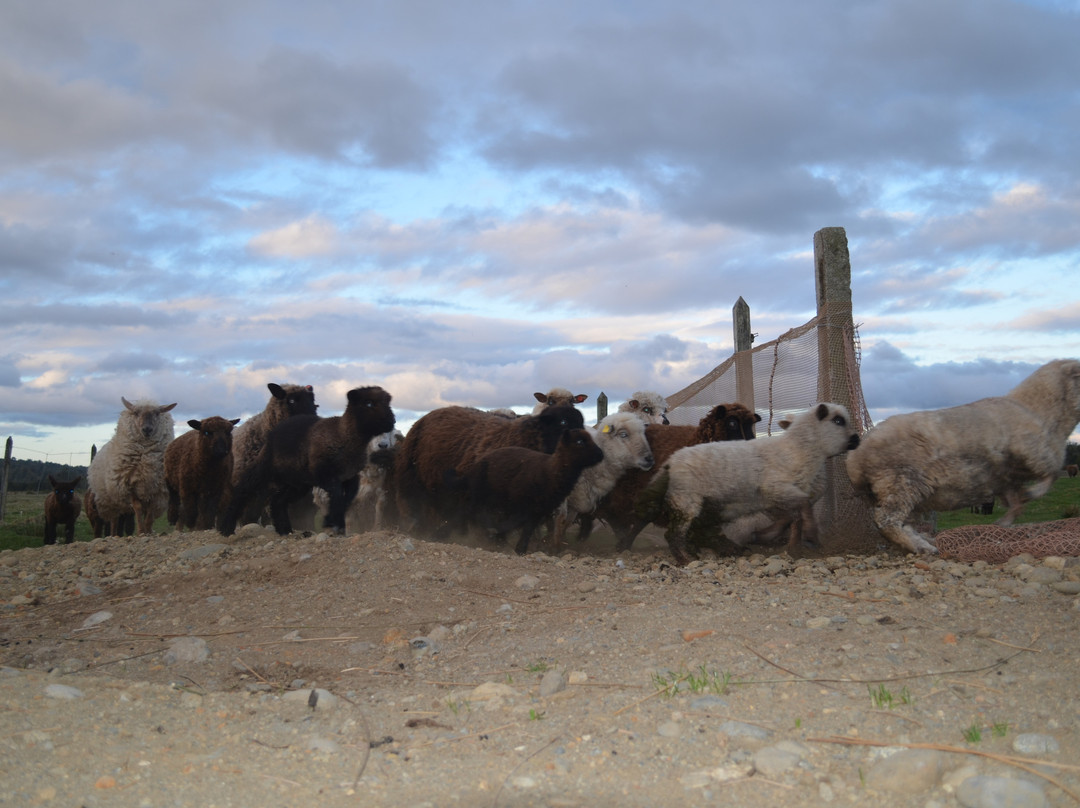 Cucao旅游景点-Agroturismo Archipielago