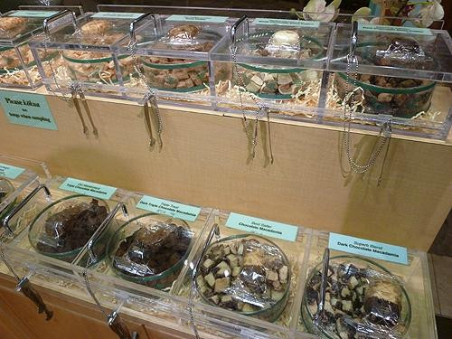 Honolulu Cookie Company-火奴鲁鲁必去景点