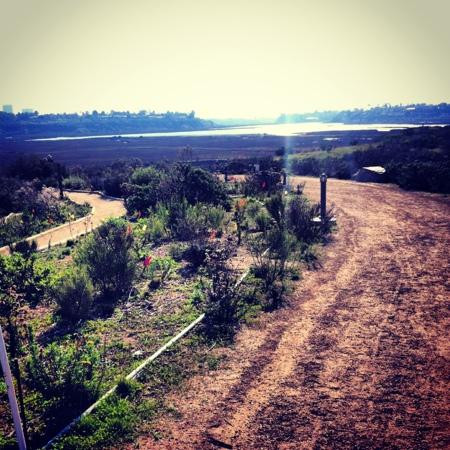 Upper Newport Bay Regional Park景点图片