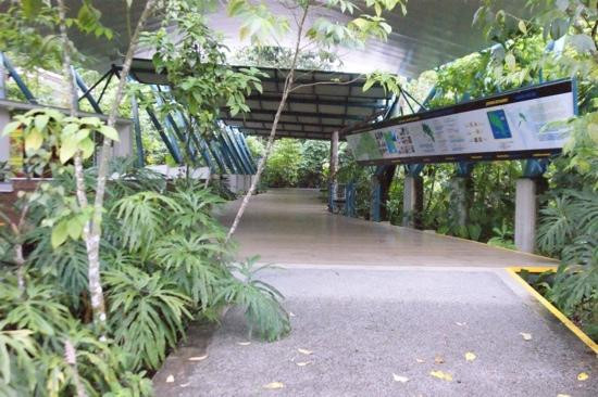 Parque Nacional Santa Rosa景点图片