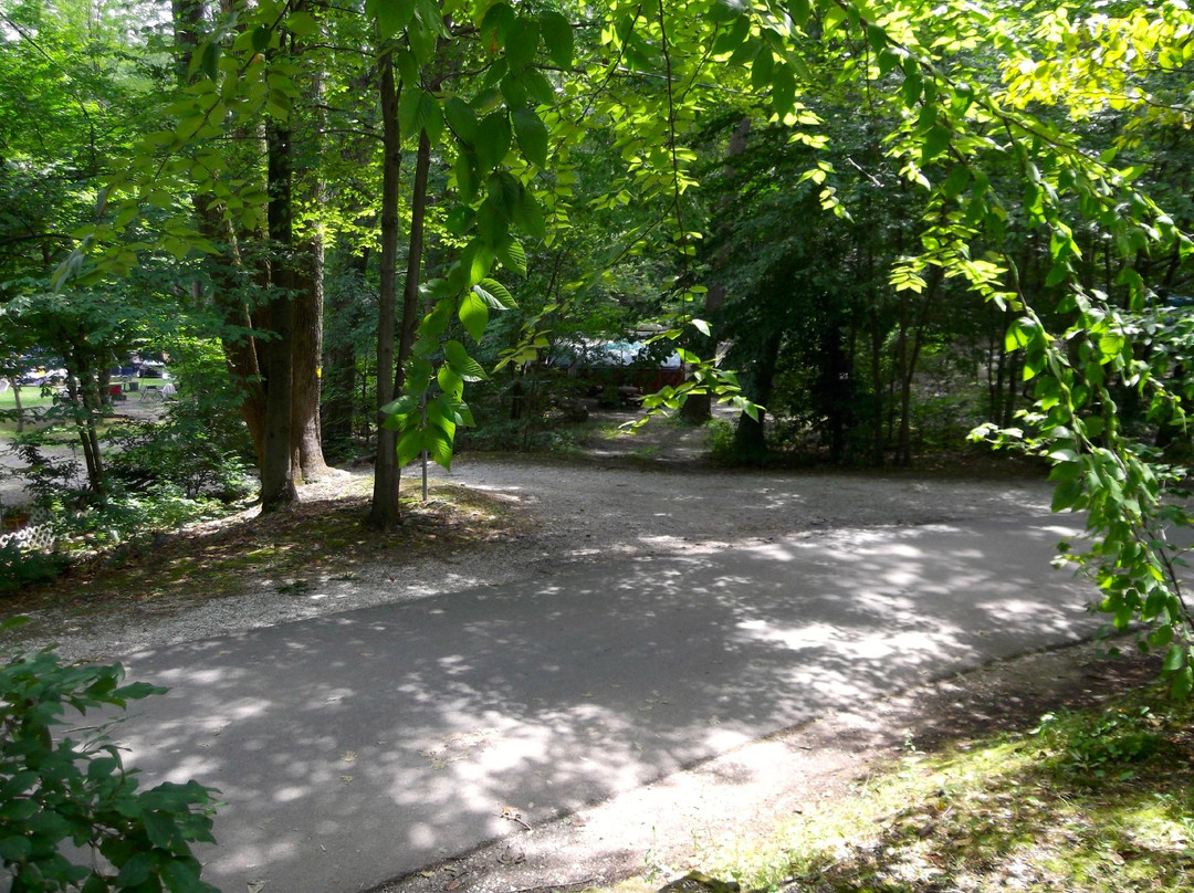 The Cabins at Panther Lake