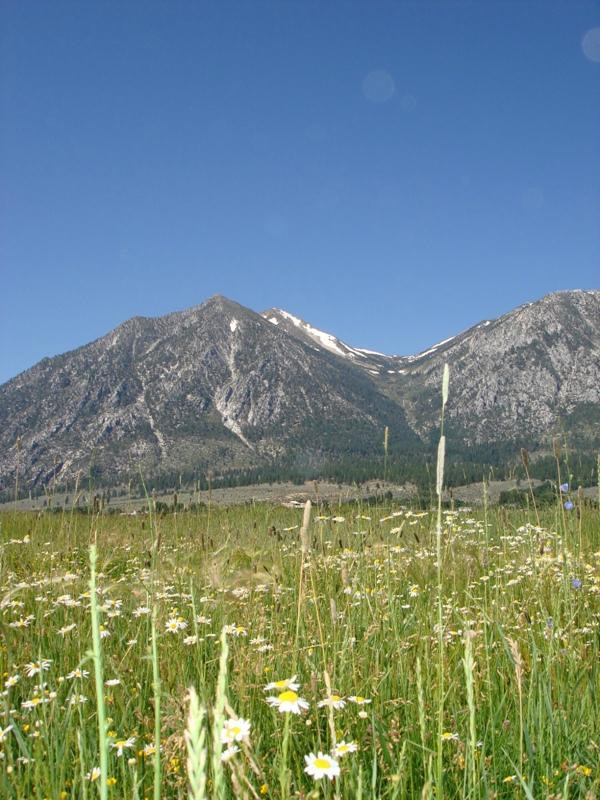 Sheridan Creek Equestrian Center-Gardnerville必去景点