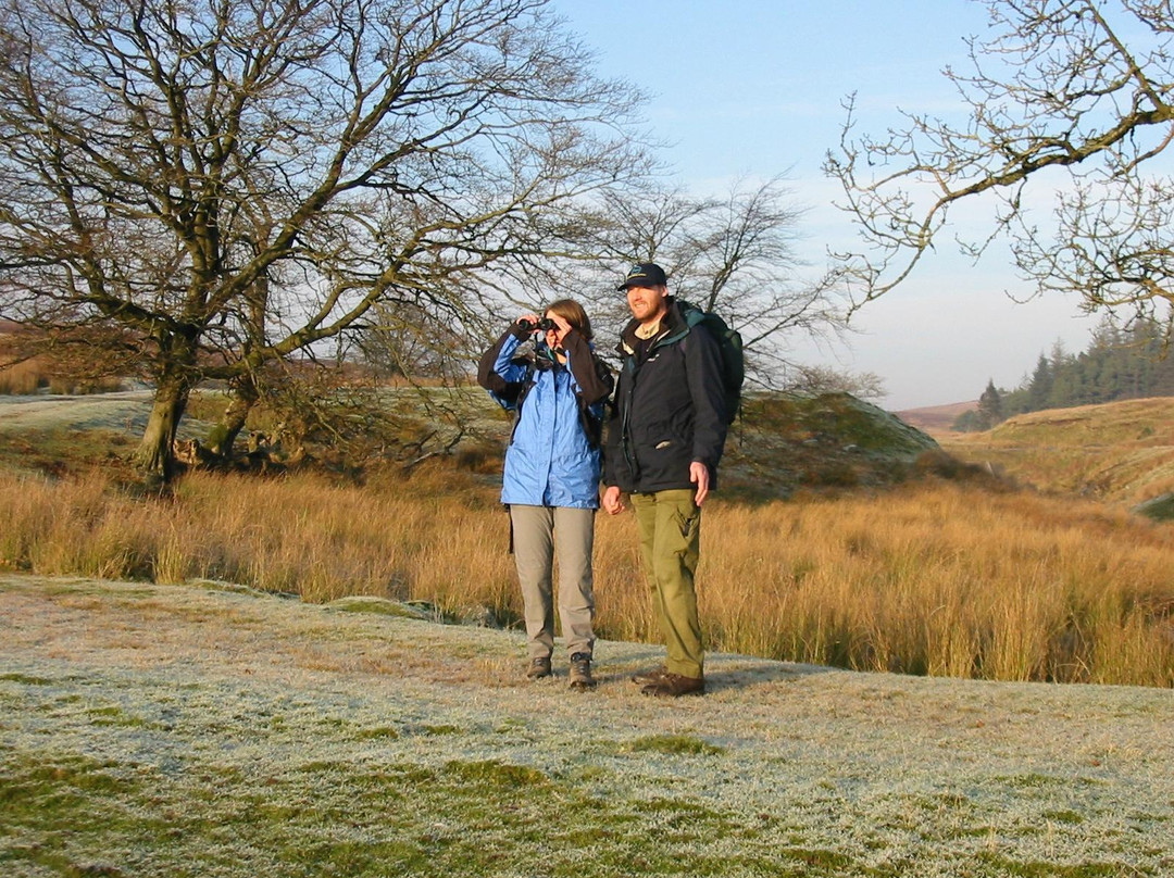 Muirshiel Visitor Centre & Country Park景点图片