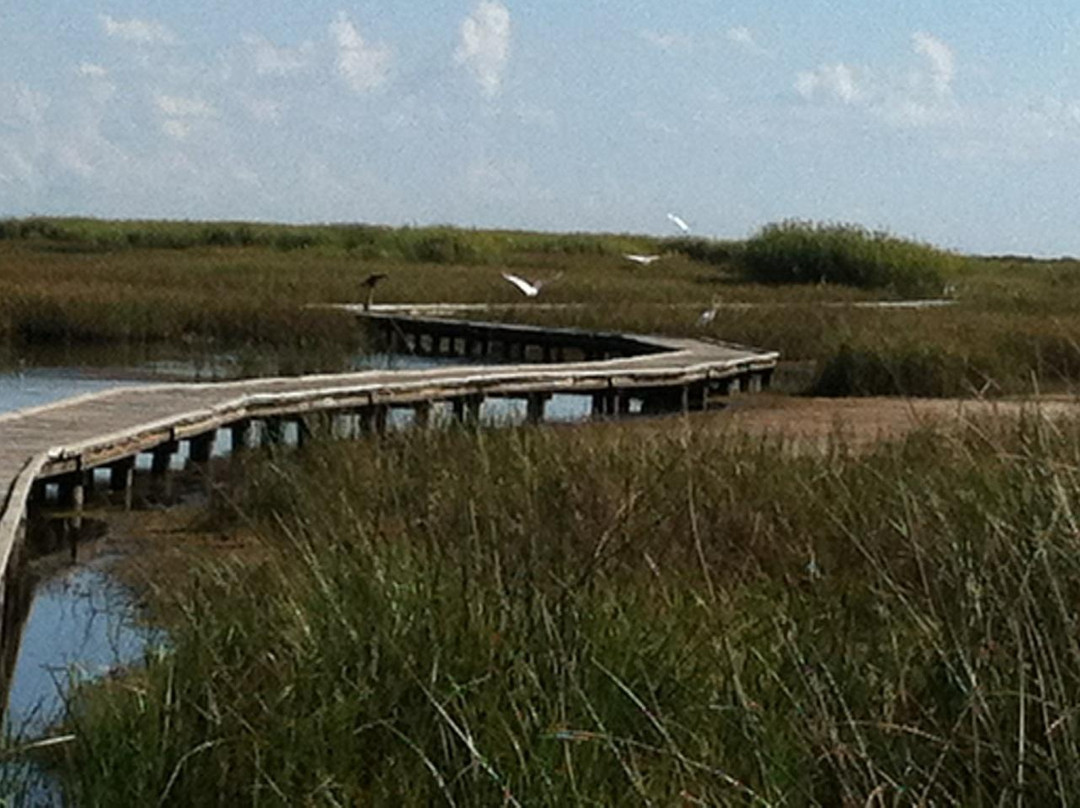 Sea Rim State Park-Port Arthur必去景点