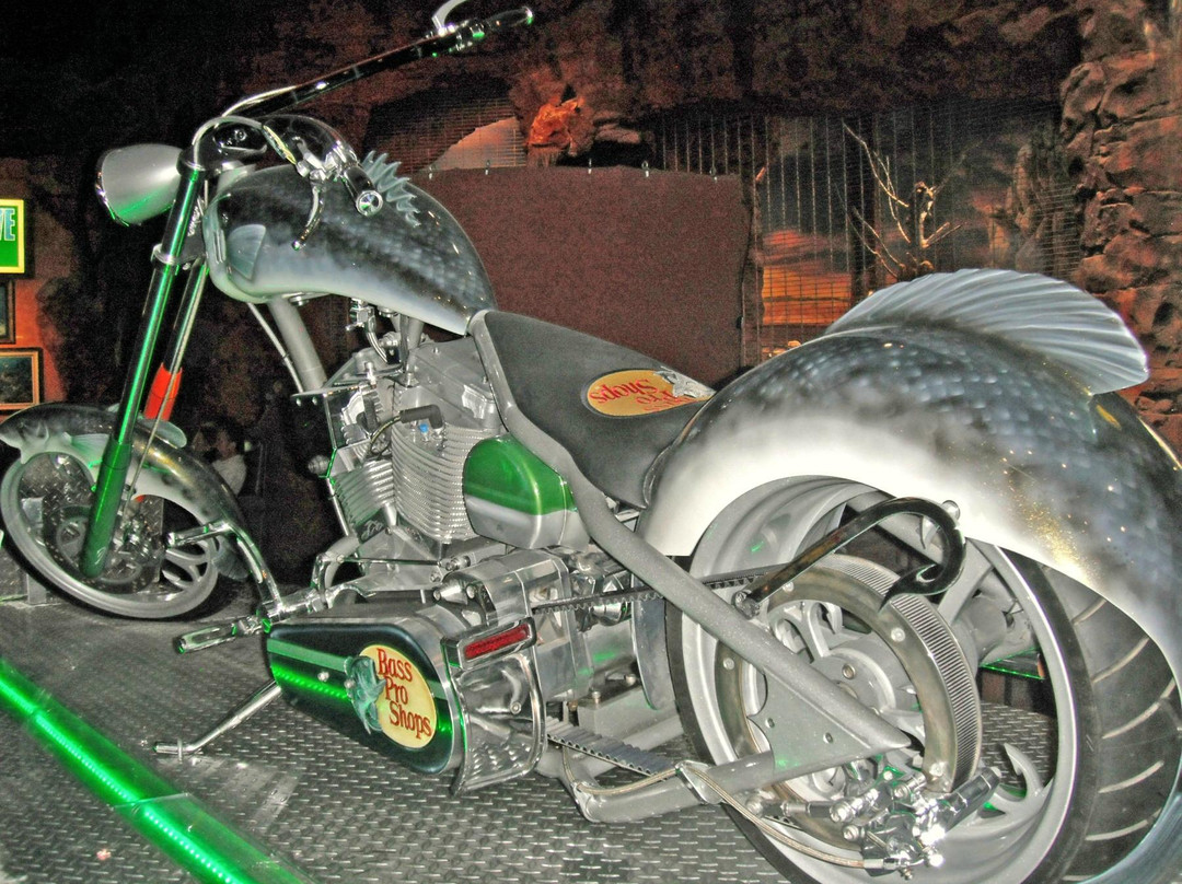 低音乐器专卖店-拉斯维加斯必去景点