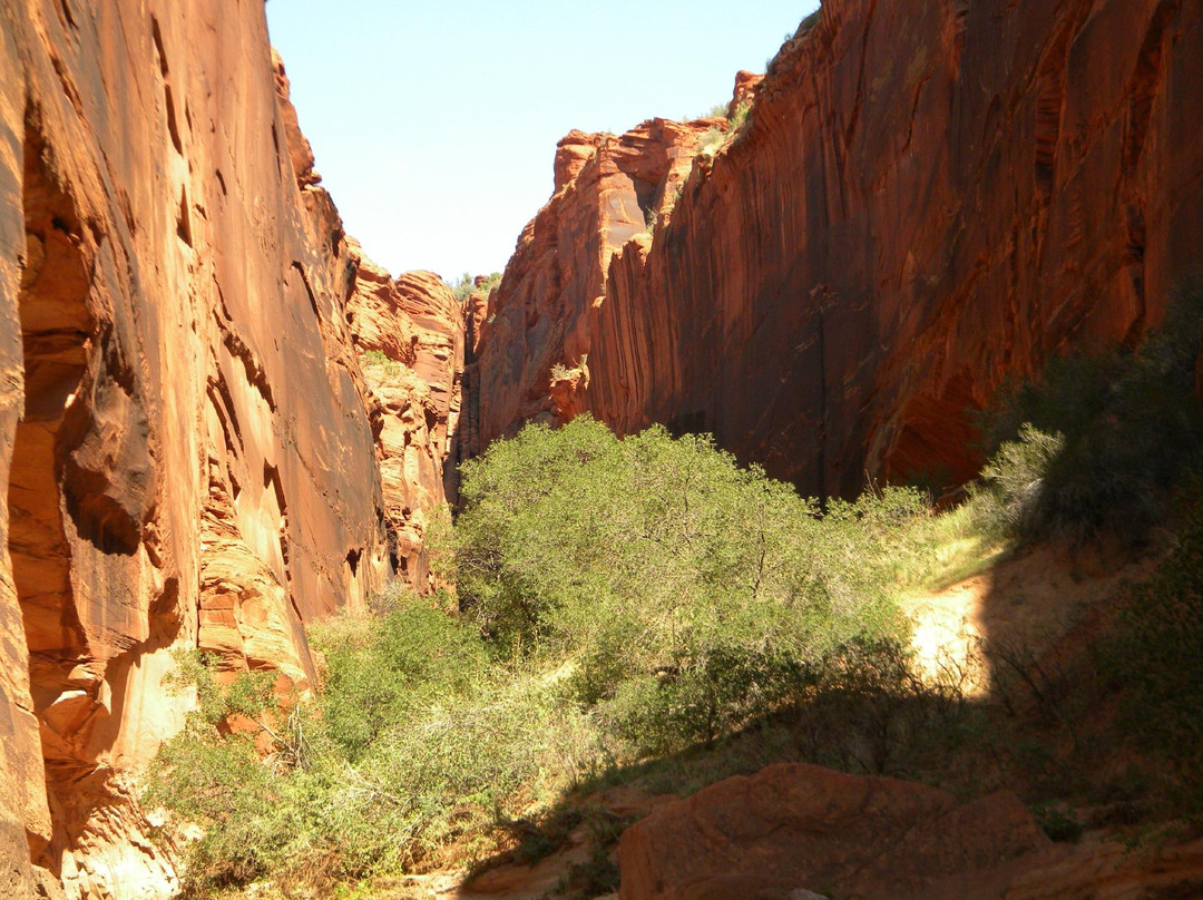 Buckskin Gulch-卡纳布必去景点