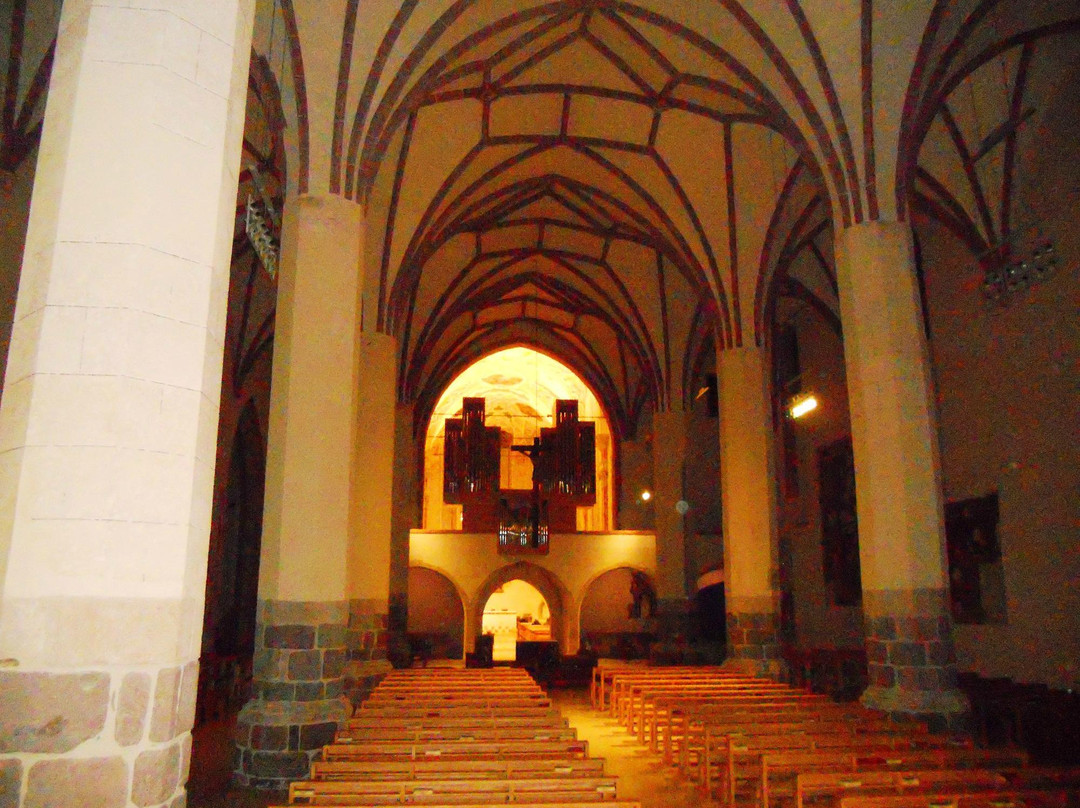Chiesa dei Domenicani景点图片