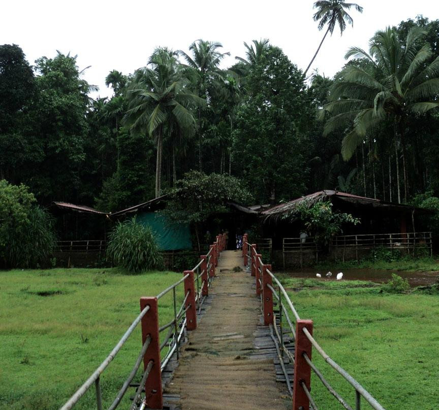Tropical Spice Plantation景点图片