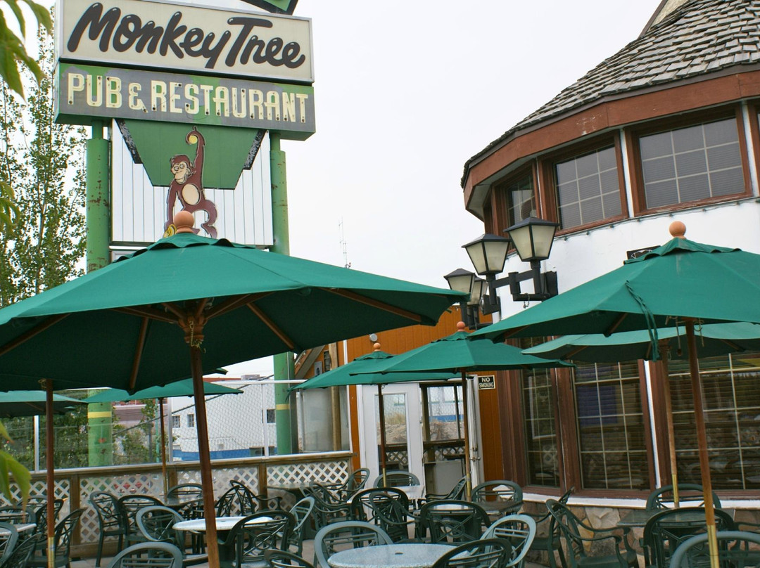 Sam's Monkey Tree Pub