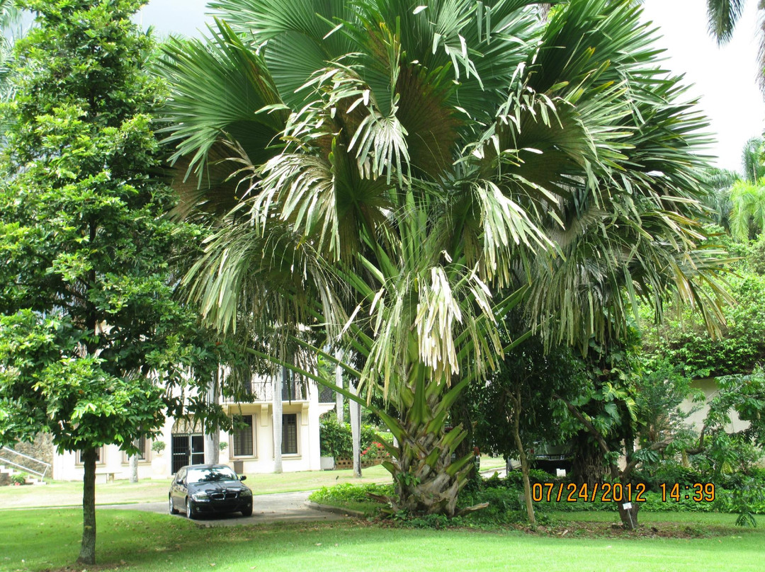 Tropical Agriculture Research Station-Mayaguez必去景点