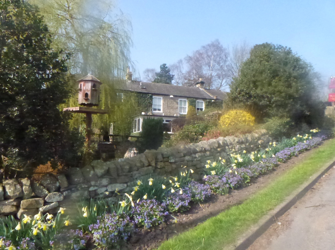 Bingfield餐馆和美食-The Rat Inn
