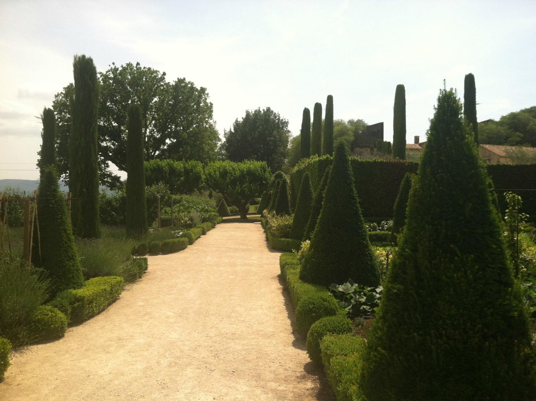 Wine in Provence景点图片