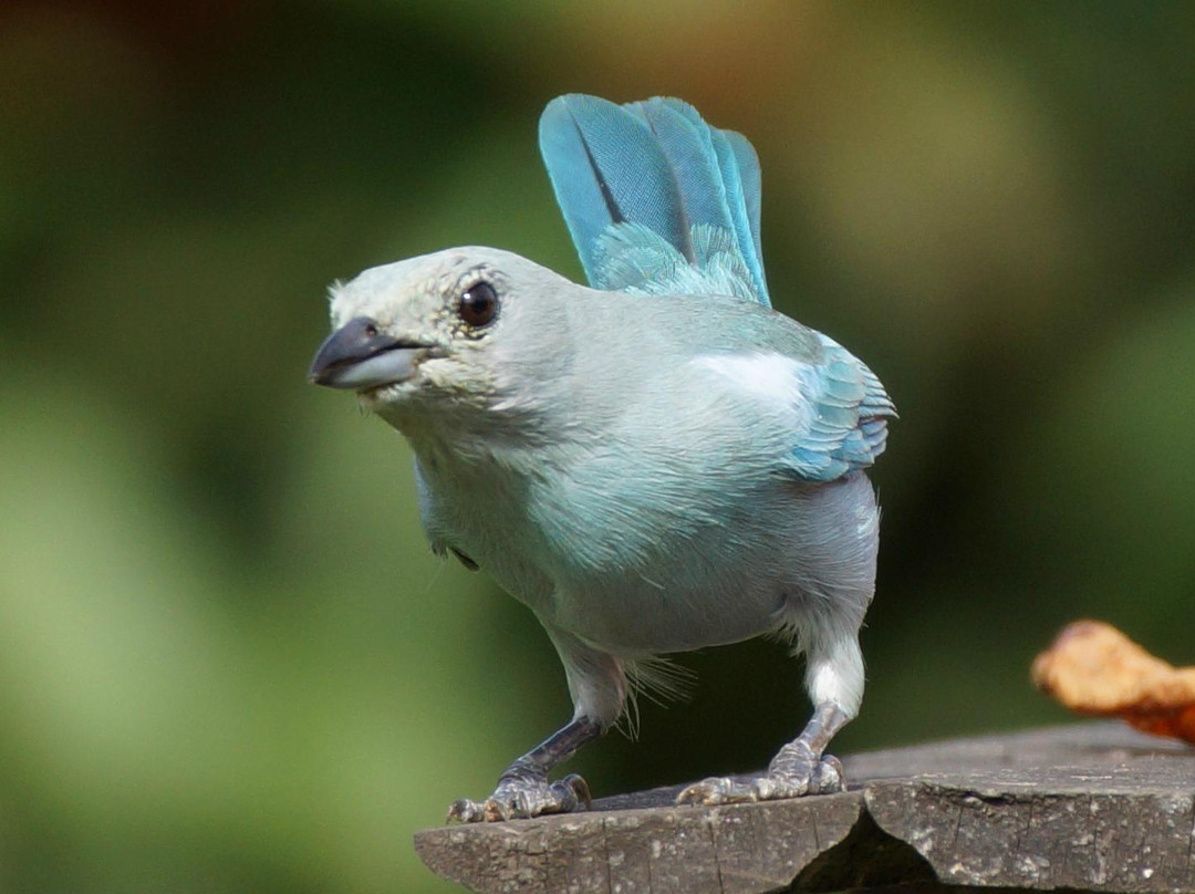 Augustus Hotel主图