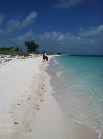 Caicos Coral-普罗维登西亚莱斯必去景点