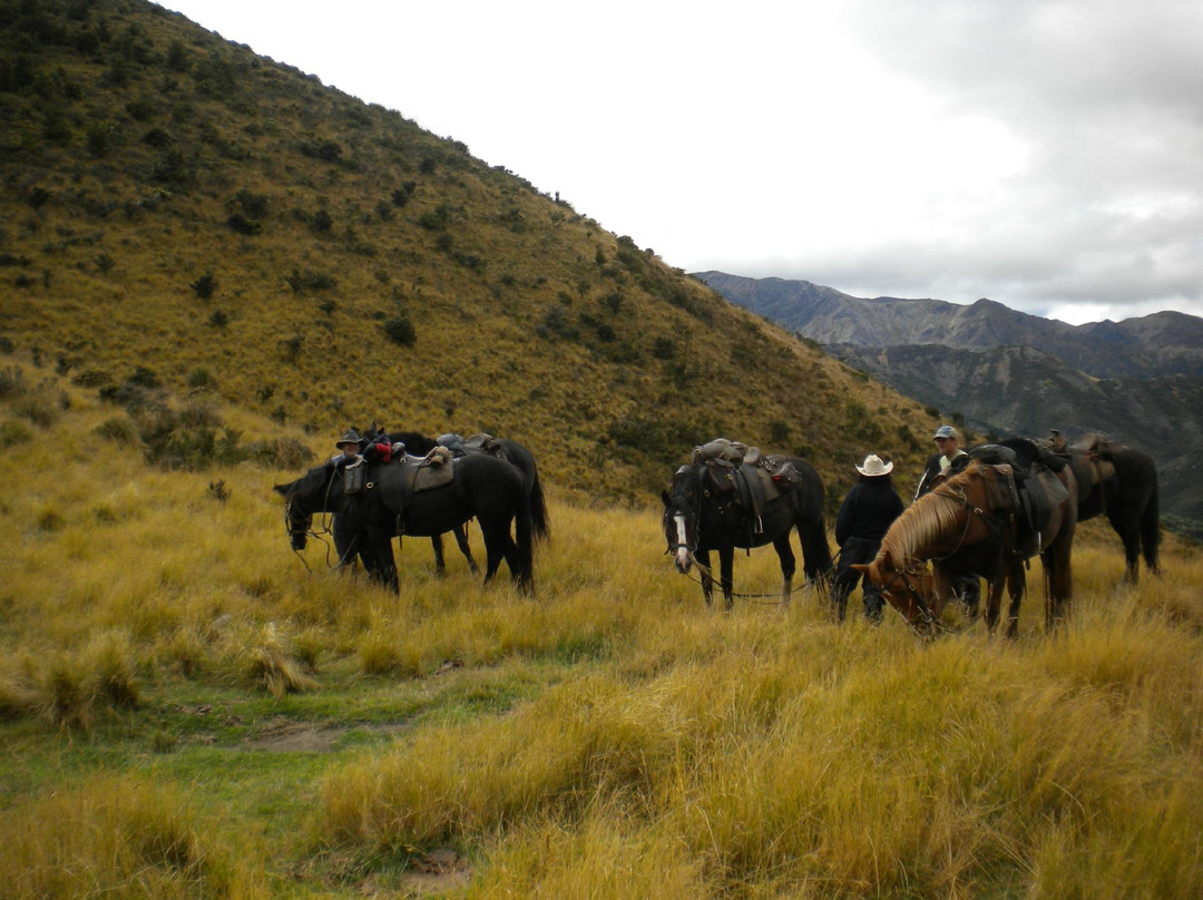Alpine Horse Safaris景点图片