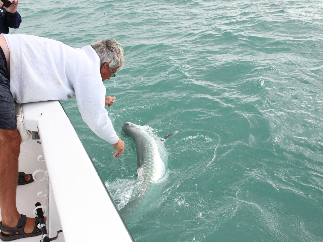 Wayne Gatling Guide Service-Rock Hall必去景点