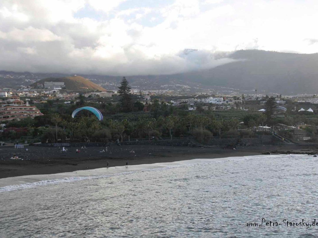 Parque Infantil de Playa Jardín景点图片