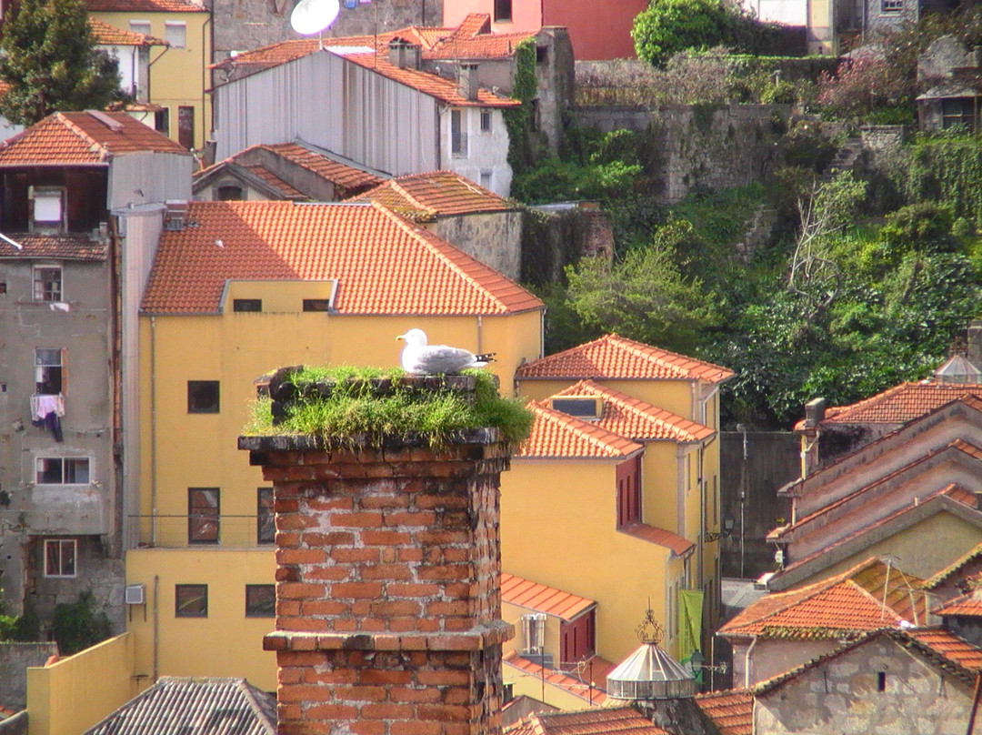 Catedral do Porto景点图片