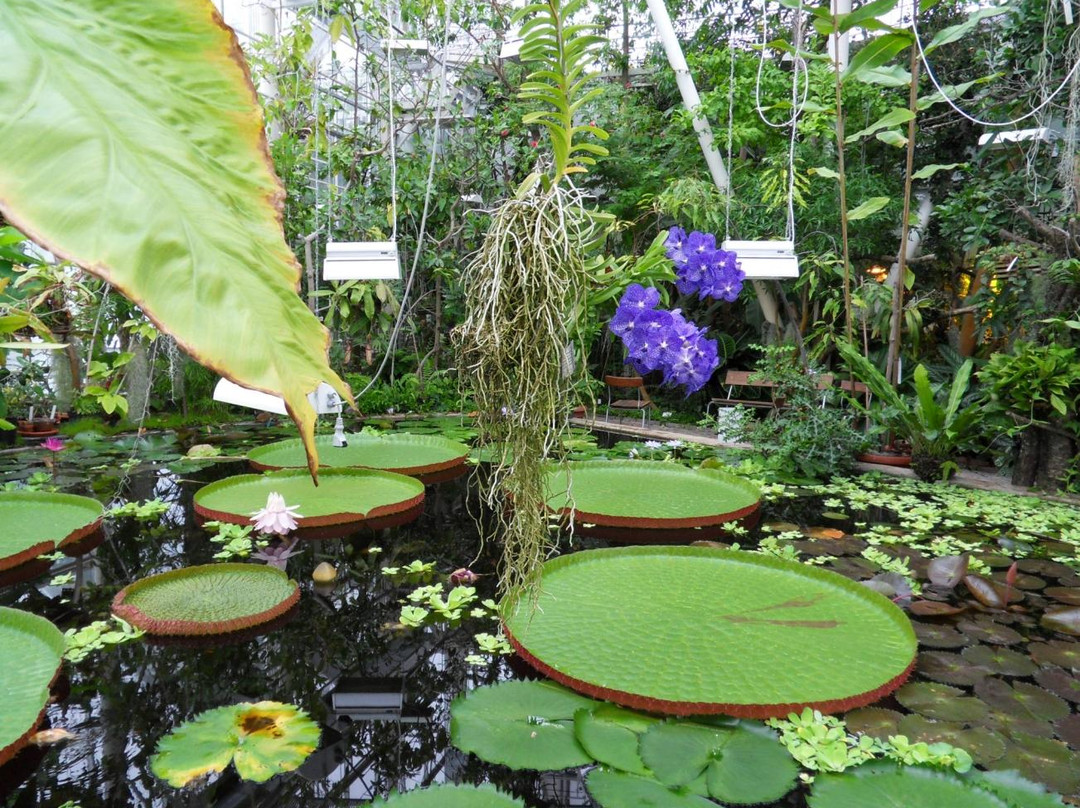 Turku University Botanical Garden-土尔库必去景点