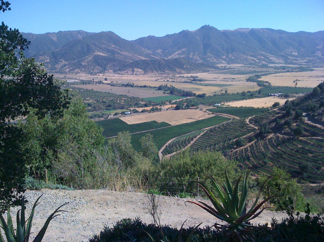 Viña Santa Cruz-Lolol必去景点