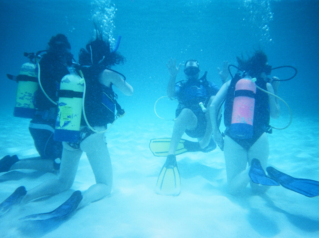 Scuba Shack Limited-Sandy Ground必去景点