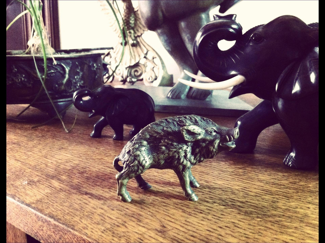 HQ Antiguedades y Coleccionables-Torreon必去景点